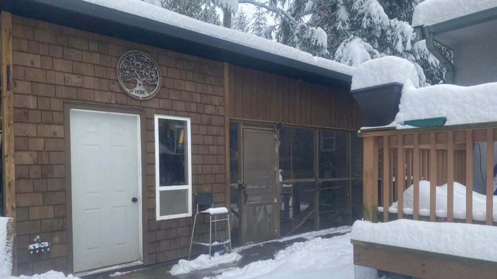 雪に覆われた鶏小屋の外の風景