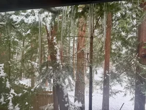 雪の朝、窓の外にできた長いつらら。冬の景色が広がる中、木の枝から伸びた透明な氷が朝日を受けて輝いている。