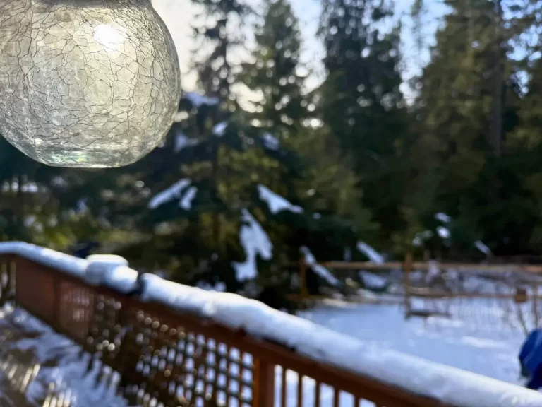 ひび割れ模様のガラス玉が光を反射し、背景には雪の積もる庭と木々が広がる。