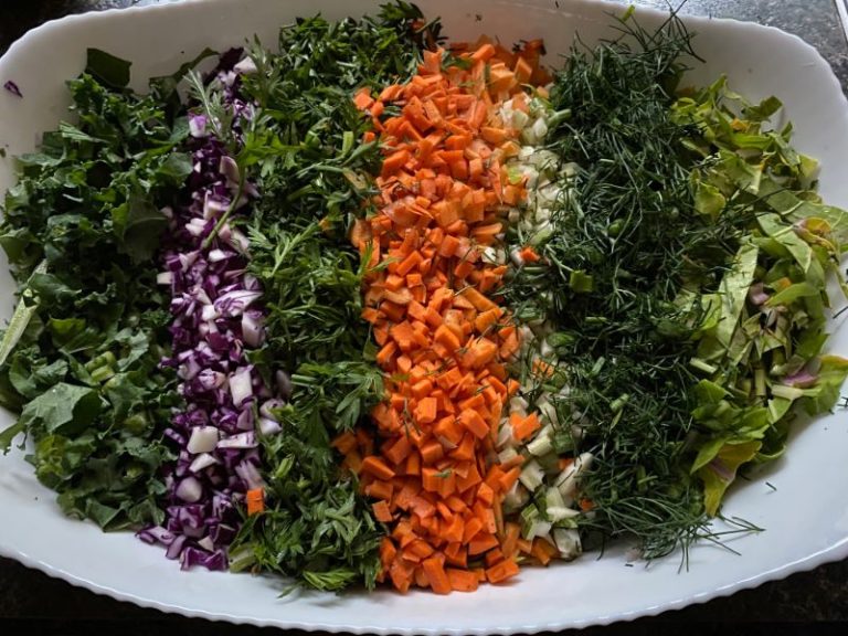 ニワトリのために細かく刻んだ色とりどりの野菜。