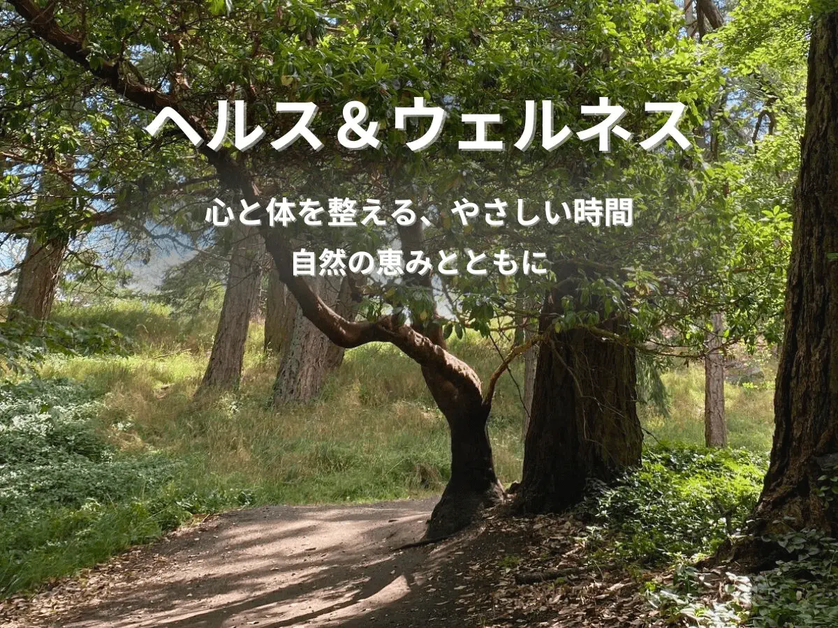 木漏れ日の小道と森の中で自然を感じるヘルス＆ウェルネスのイメージ