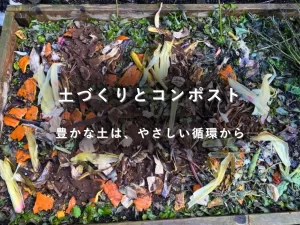 キッチンスクラップを積み上げたコンポスト