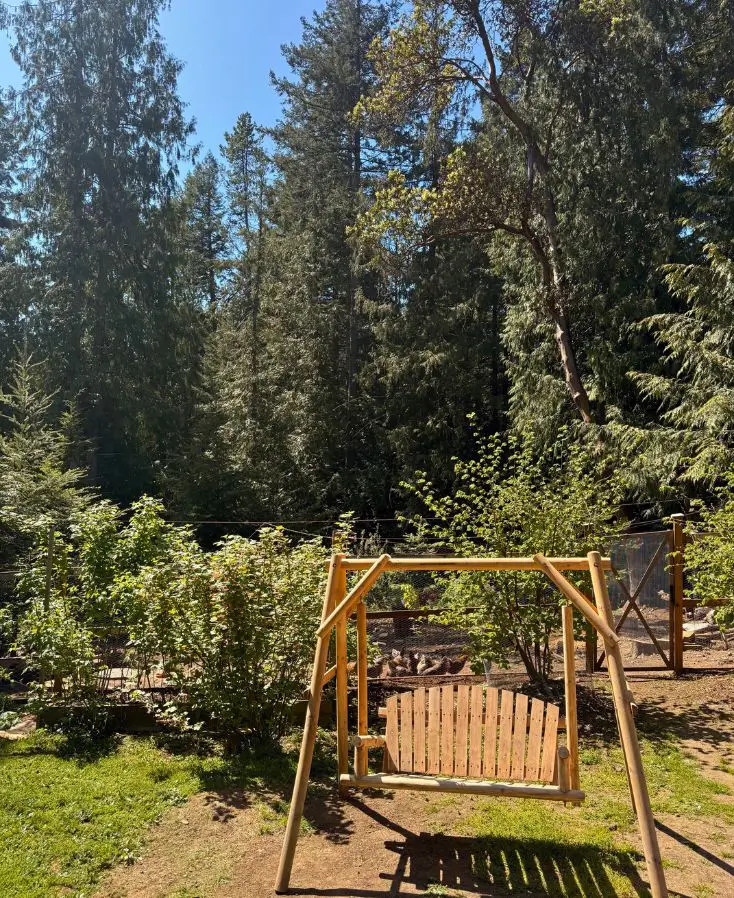 木漏れ日の中にある木製ブランコと鶏、自然とともにある島の暮らしの風景