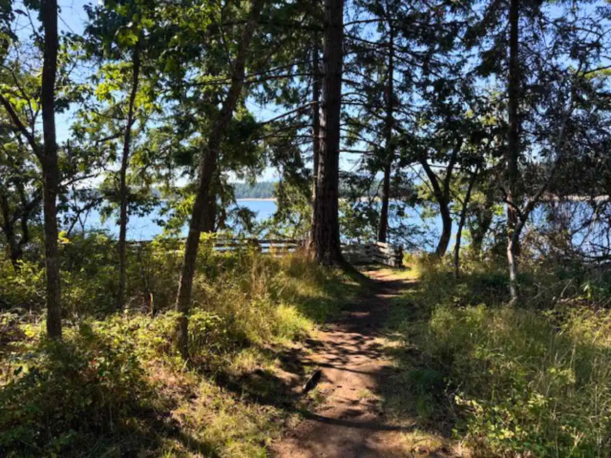 森の小道と海の景色。健康に気をつけて生きる意味を考えるイメージ