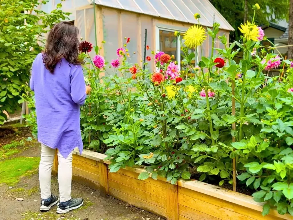庭の花の前で静かに立つ女性の後ろ姿の写真。自分にフォーカスする穏やかな朝の時間。