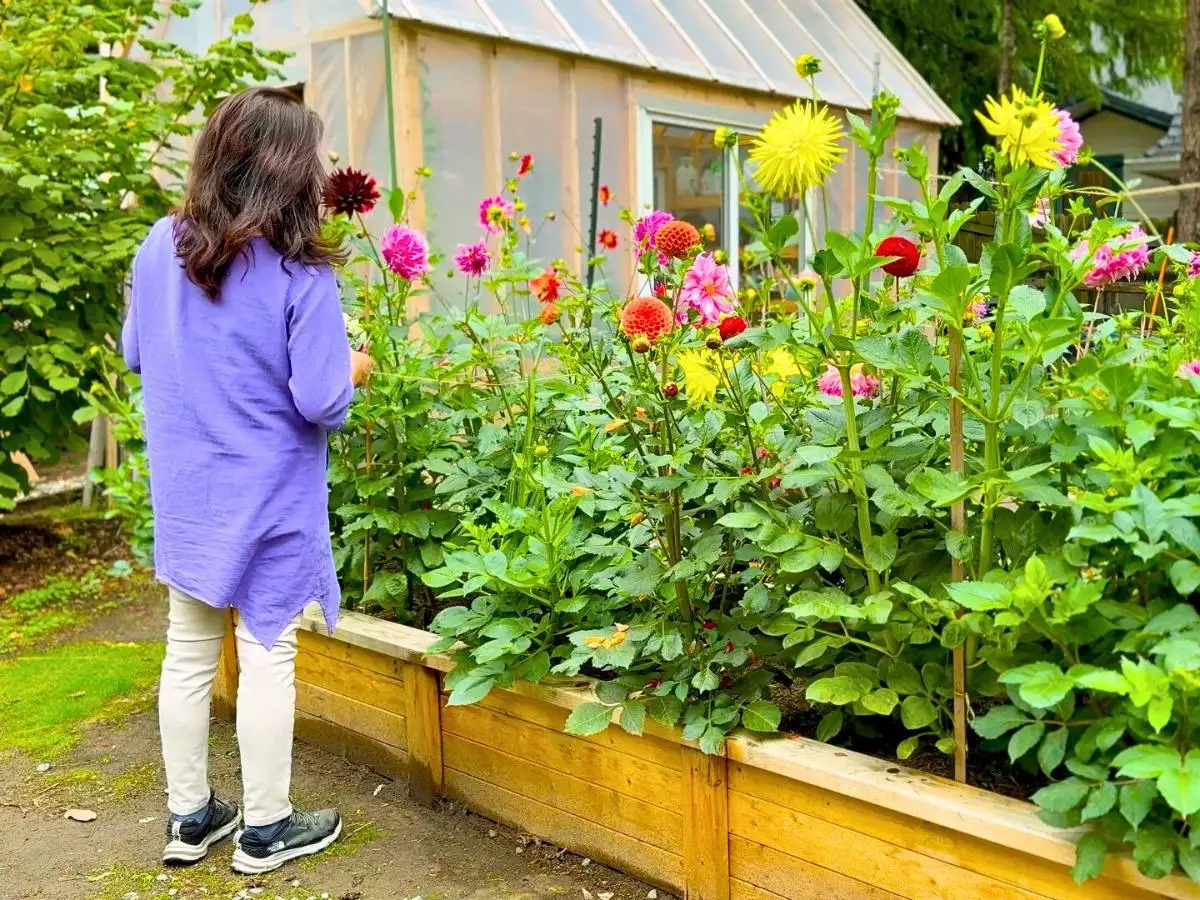 庭の花の前で静かに立つ女性の後ろ姿の写真。自分にフォーカスする穏やかな朝の時間。